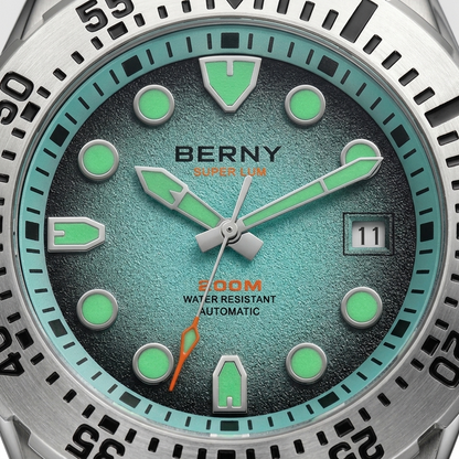 BERNY AM151M - dial macro detail