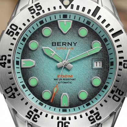 BERNY AM151M - dial macro detail